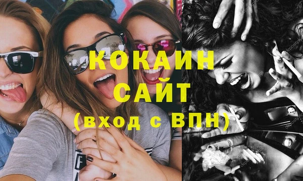 мяу мяу мука Новозыбков