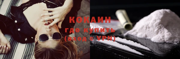 мяу мяу мука Новозыбков