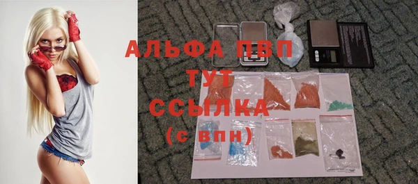 мяу мяу мука Новозыбков