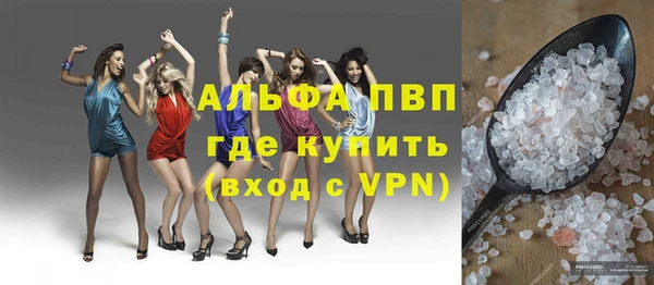 соль ск Новодвинск