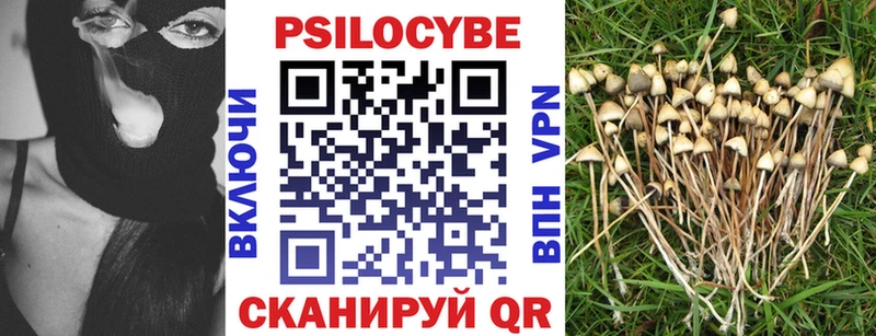 blacksprut маркетплейс  Клинцы  Псилоцибиновые грибы прущие грибы 