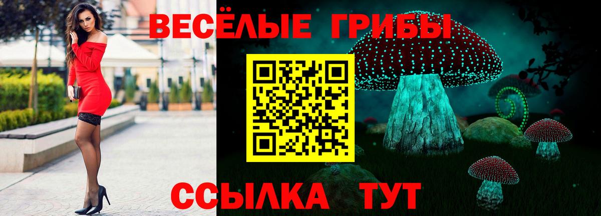 Псилоцибиновые грибы Psilocybe  Вход с VPN  закладки  Клинцы 