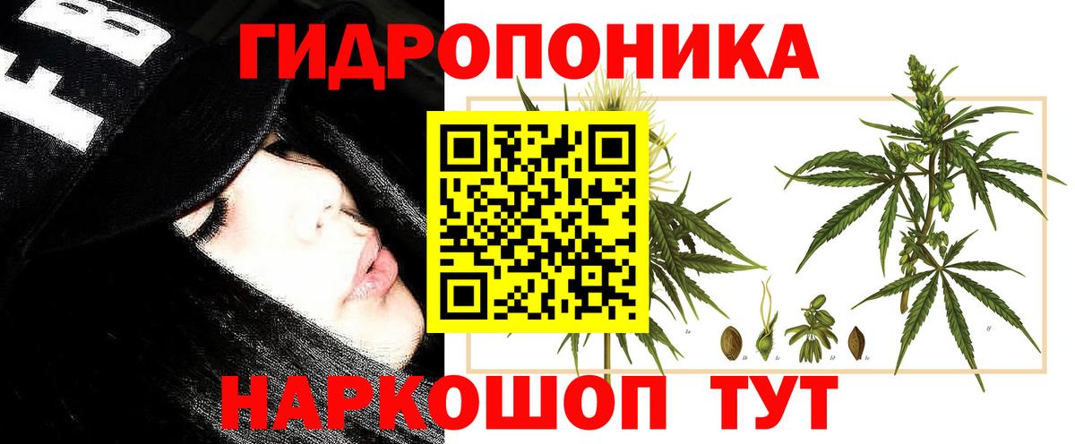 Канабис сатива Клинцы